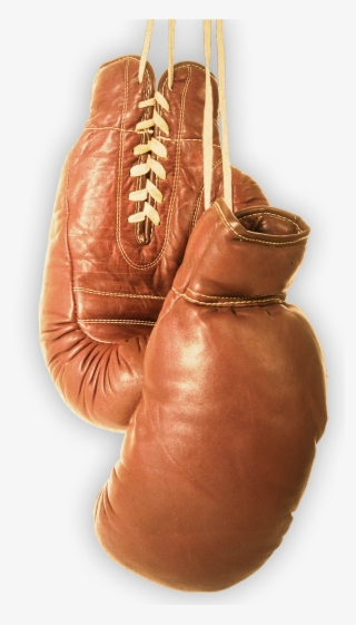 Our Role As An Apologist - Amateur Boxing
