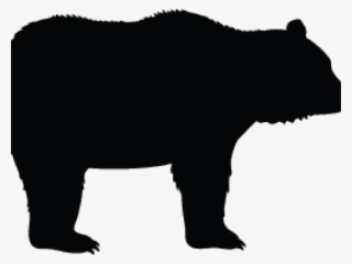 Brown Bear
