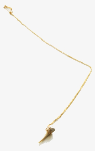 Related Products - Pendant