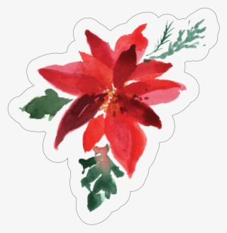 Categories - Lily