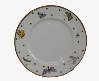 Dinner Plate - Plate