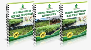 To Get Instant Access To All The Documents, Click Here - Flyer