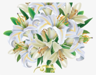 Tulip Clipart Flower Bokeh - Bouquet Png White Flower