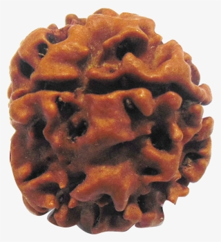 Shop Now - Belgian Waffle