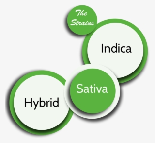 Which One Is Right For You - Circle