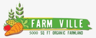 1159 X 459 3