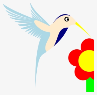 Hummingbird Computer Icons Beak