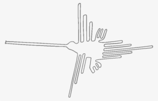Input Nazca Lines Hummingbird