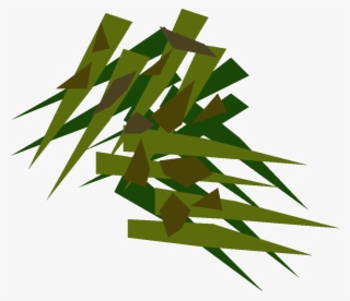 Grass