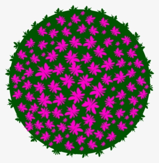 This Png File Is About Landscaping , Tree , Nature - Dry Polishing Pads