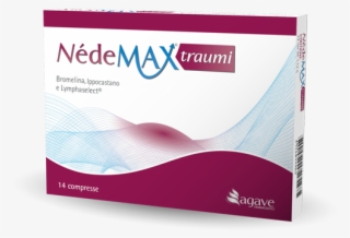 Nédemax Traumi - Brochure