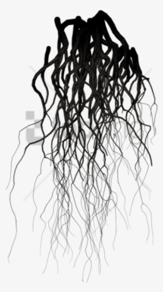 Free Png Black Veins Png Image With Transparent Background - Transparent Background Roots Png