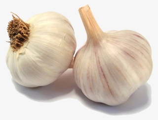 Garlic - Garlic Vegetables