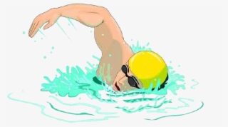 800 X 447 7 - Swimming