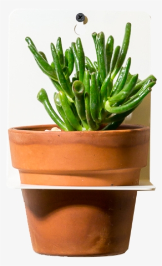 Sheet Metal Wall Planter