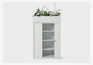Shelf
