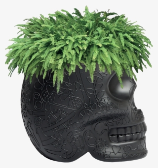 Fern Clipart Planter - Skull Planter