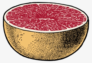 Medium Image - Citrus ×paradisi