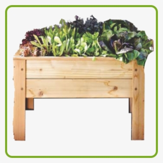 Compact Stanging Planter - Png Transparent Wooden Planter