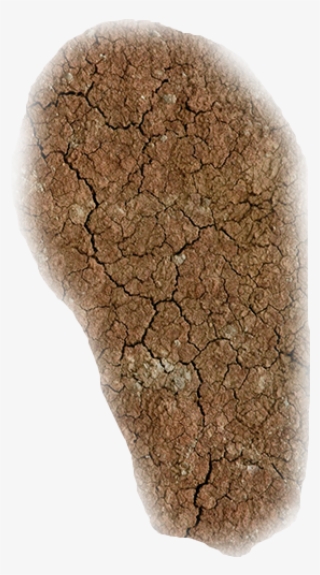Craked Earth1 Sc - Igneous Rock