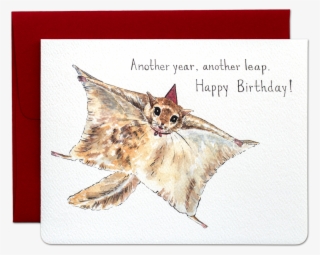 Flying Squirrel Birthday Card