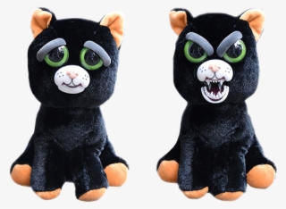 Feisty Pets Black Cat
