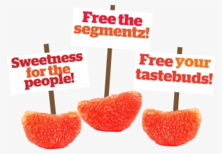 Grapefruit-wintersweetz - Strawberry
