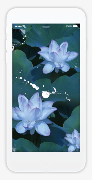 Lilys Light - Smartphone