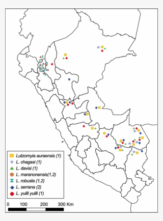 Distribución Geográfica De Vectores Y Potenciales Vectores - Distribucion Lutzomyia En Peru 2018