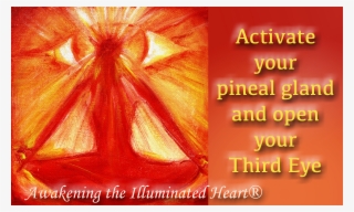 23-26 Where You Will Be Given The Process To Activate - Poster