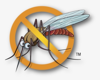Mosquito Clipart Malaria Mosquito - No Mosquito Icon Png