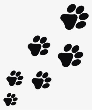 Impronte Cane Png