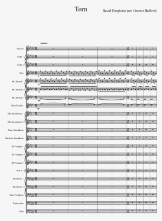 Torn Sheet Music Composed By David Templeton 1 Of - Inferno Robert W Smith Pdf