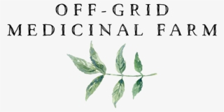 Elder Farm Off Gr - Tree