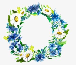 Share - African Daisy