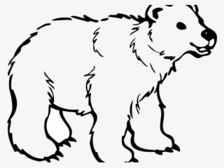 Mammal Clipart Spirit Bear - Free Clipart Black And White Animals
