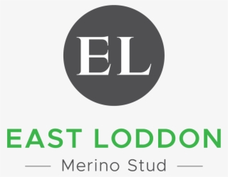 Logo - Graphic Design
