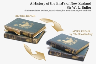 We Have Also Worked On Many Very Old And Interesting - Box