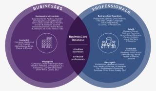 Their Background, Purchasing Style And Preferences, - Circle