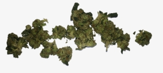 Transparent Background Weed Png