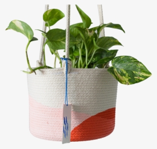 Pink / Red Orange - Flowerpot