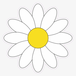 Simple White Daisy Flower Vector Illustration Sticker - Sunflower