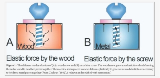 Biomechanics Of Cancellous Screw Trauma International - Graphic Design