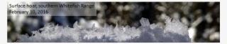 Flatheadavalanche