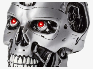 Loot Crate Terminator Skull