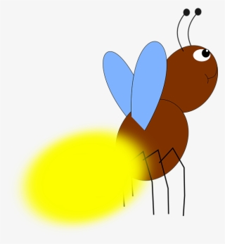 Firefly Png