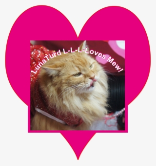 A Lunaturd Love Tune - Cat Yawns