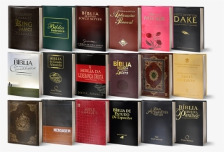 Confira Qual A Melhor Biblia De Estudo - Melhor Bíblia De Estudo