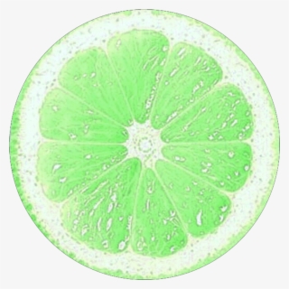 Circle Sticker - Lemon Slice