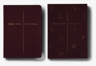 Cada Uma Dessas Pessoas, Com Seus Exemplos Positivos - Biblia De Estudo A Mensagem